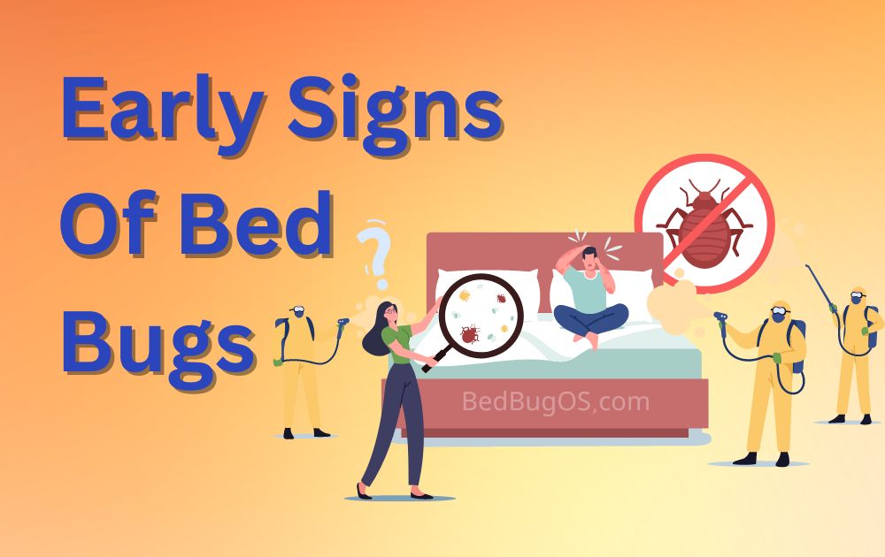 Early signs of bed bugs