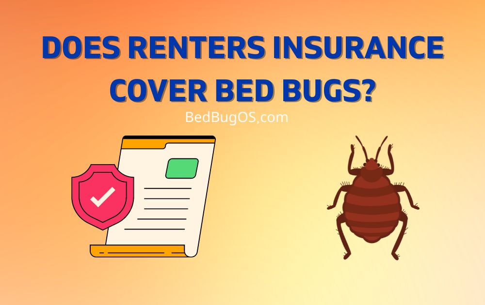 Does Renters Insurance Cover Bed Bugs