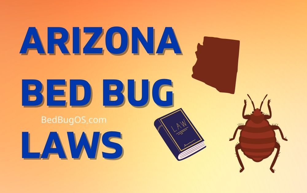 Arizona Bed Bug Laws